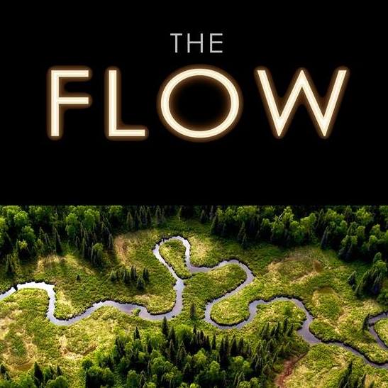 TheFlow