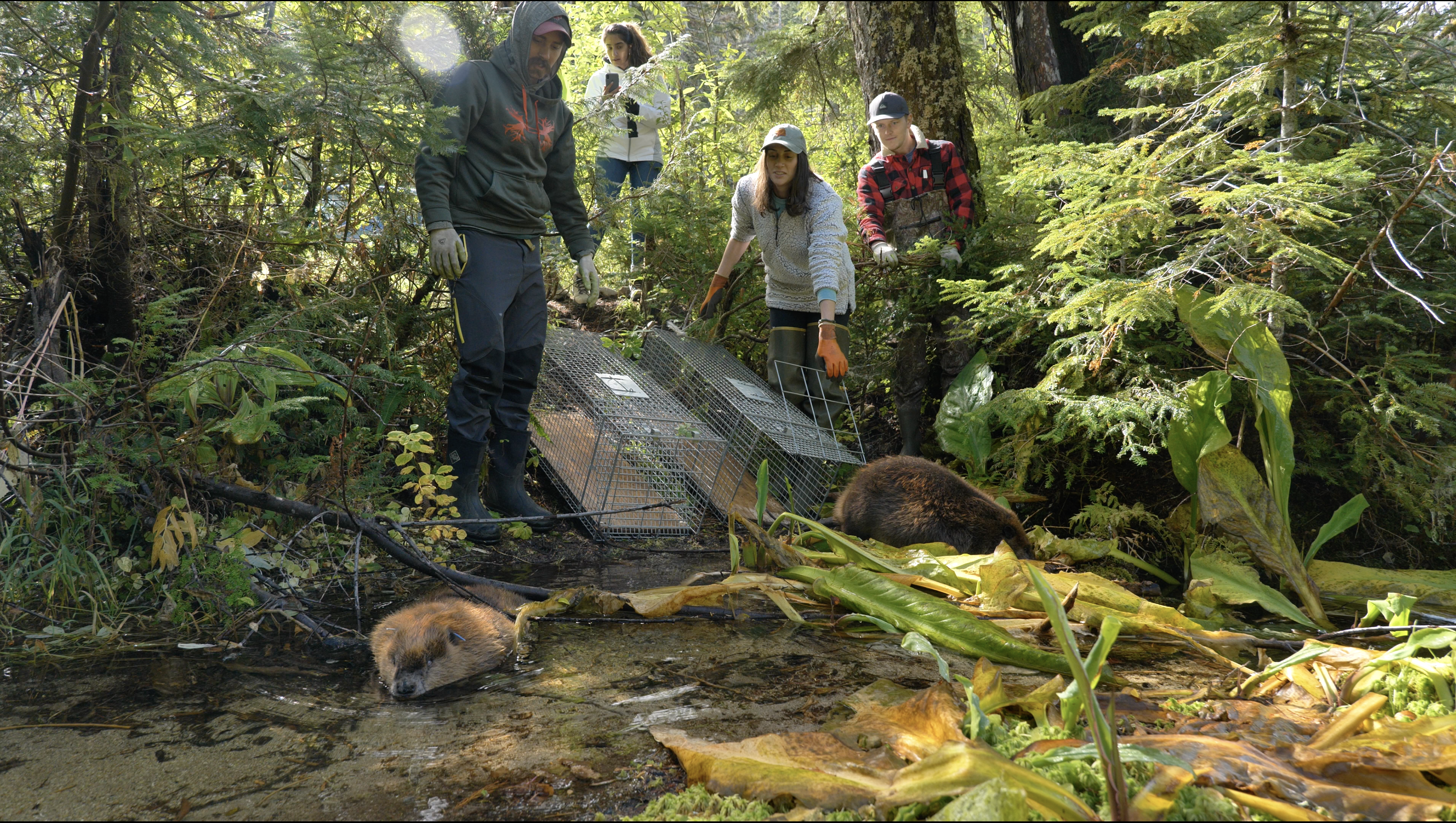 Screen Shot 2021-11-29 at 10.04.25 AM